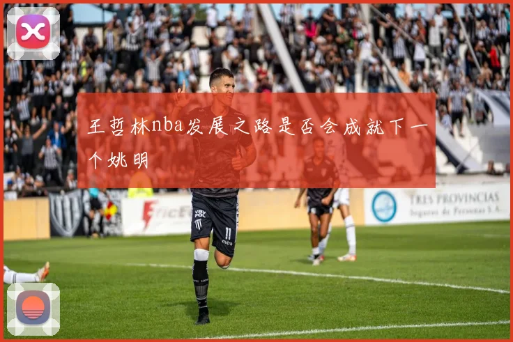 王哲林nba发展之路是否会成就下一个姚明
