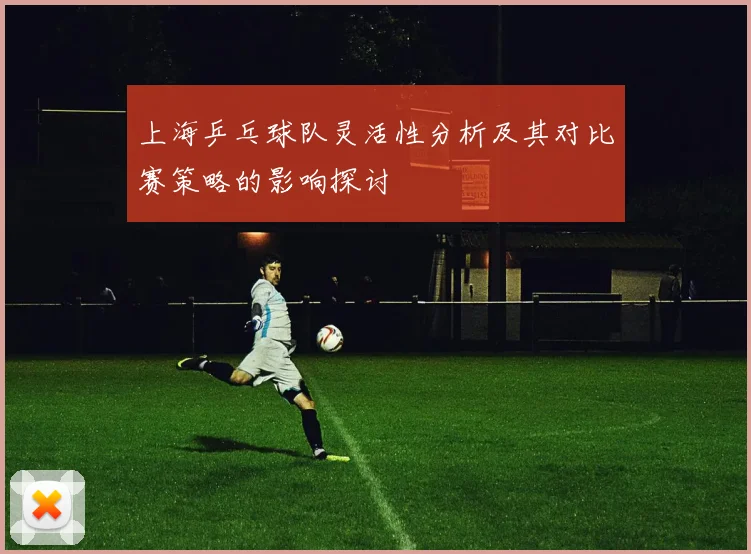 上海乒乓球队灵活性分析及其对比赛策略的影响探讨