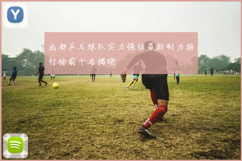 成都乒乓球队实力强劲最新耐力排行榜前十名揭晓